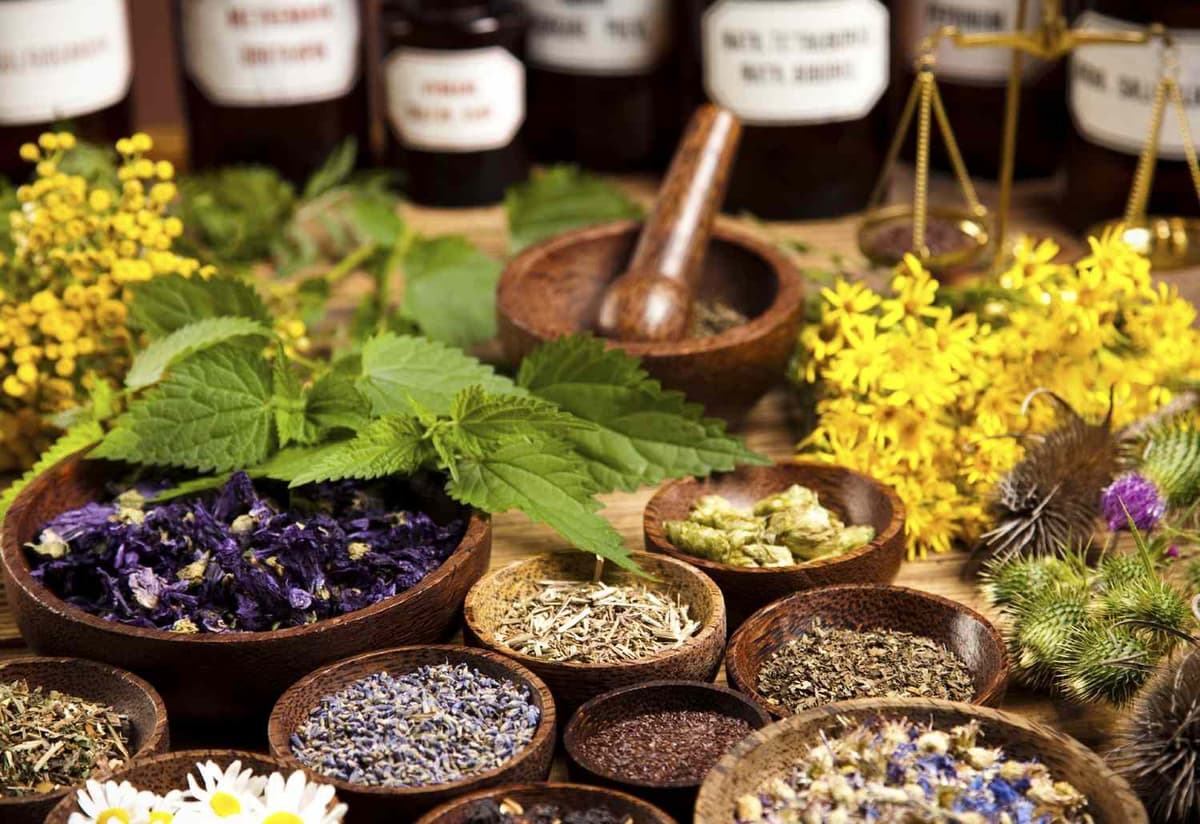 Homeopathy Explained: Understanding Natural Healing Methods